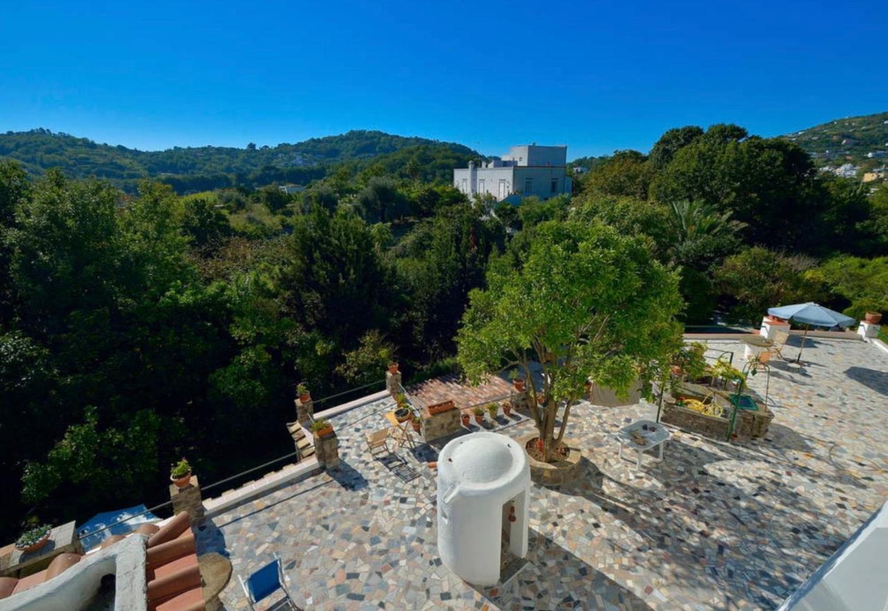 Villa Vincenzo Di Meglio Barano d'Ischia Luaran gambar