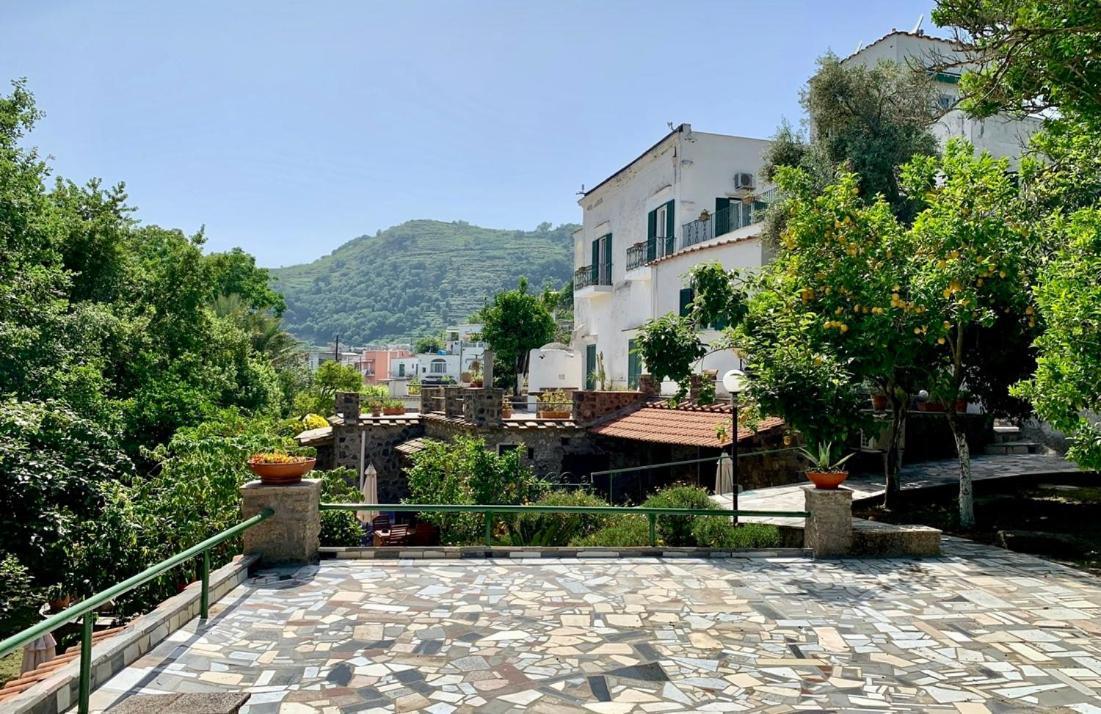 Villa Vincenzo Di Meglio Barano d'Ischia Luaran gambar