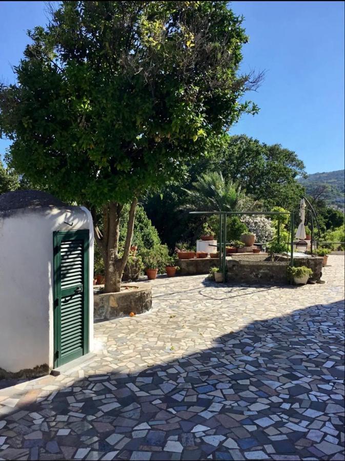 Villa Vincenzo Di Meglio Barano d'Ischia Luaran gambar