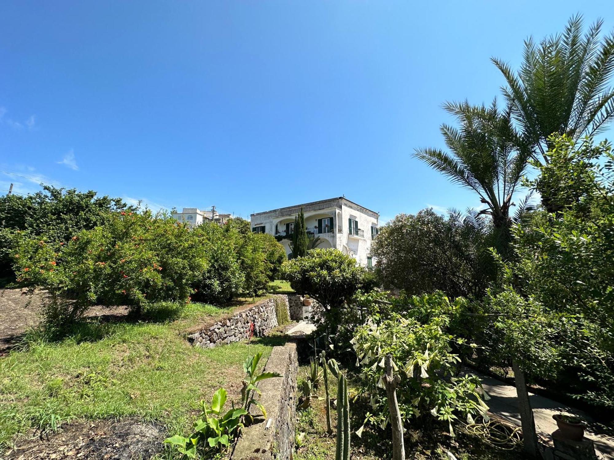 Villa Vincenzo Di Meglio Barano d'Ischia Luaran gambar