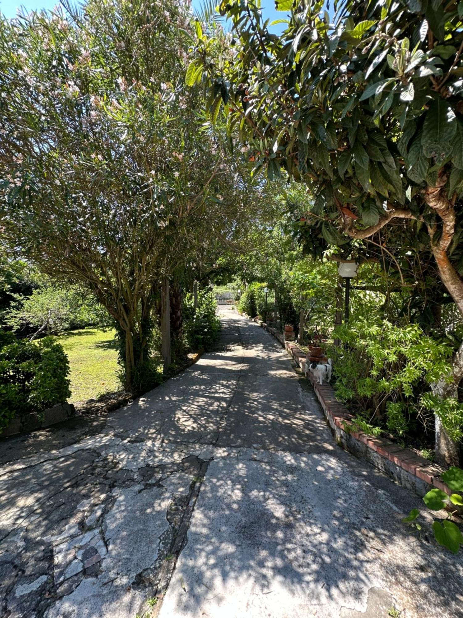 Villa Vincenzo Di Meglio Barano d'Ischia Luaran gambar