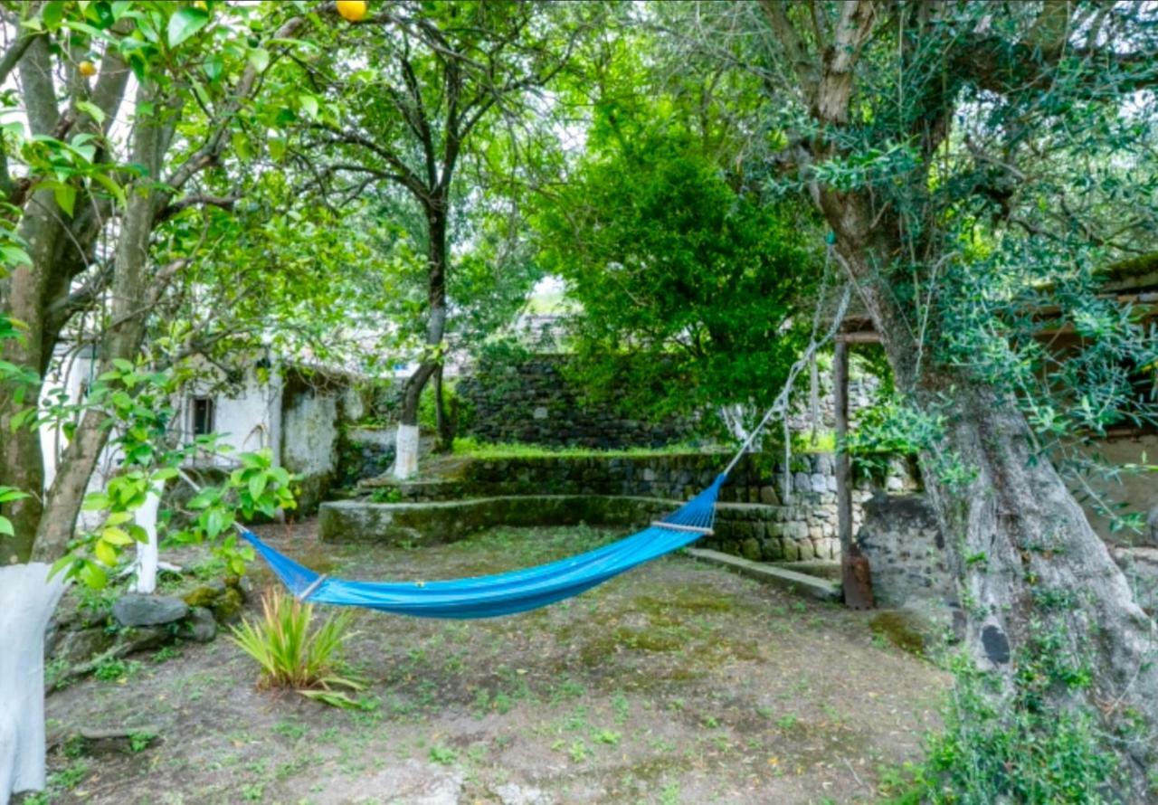 Villa Vincenzo Di Meglio Barano d'Ischia Luaran gambar