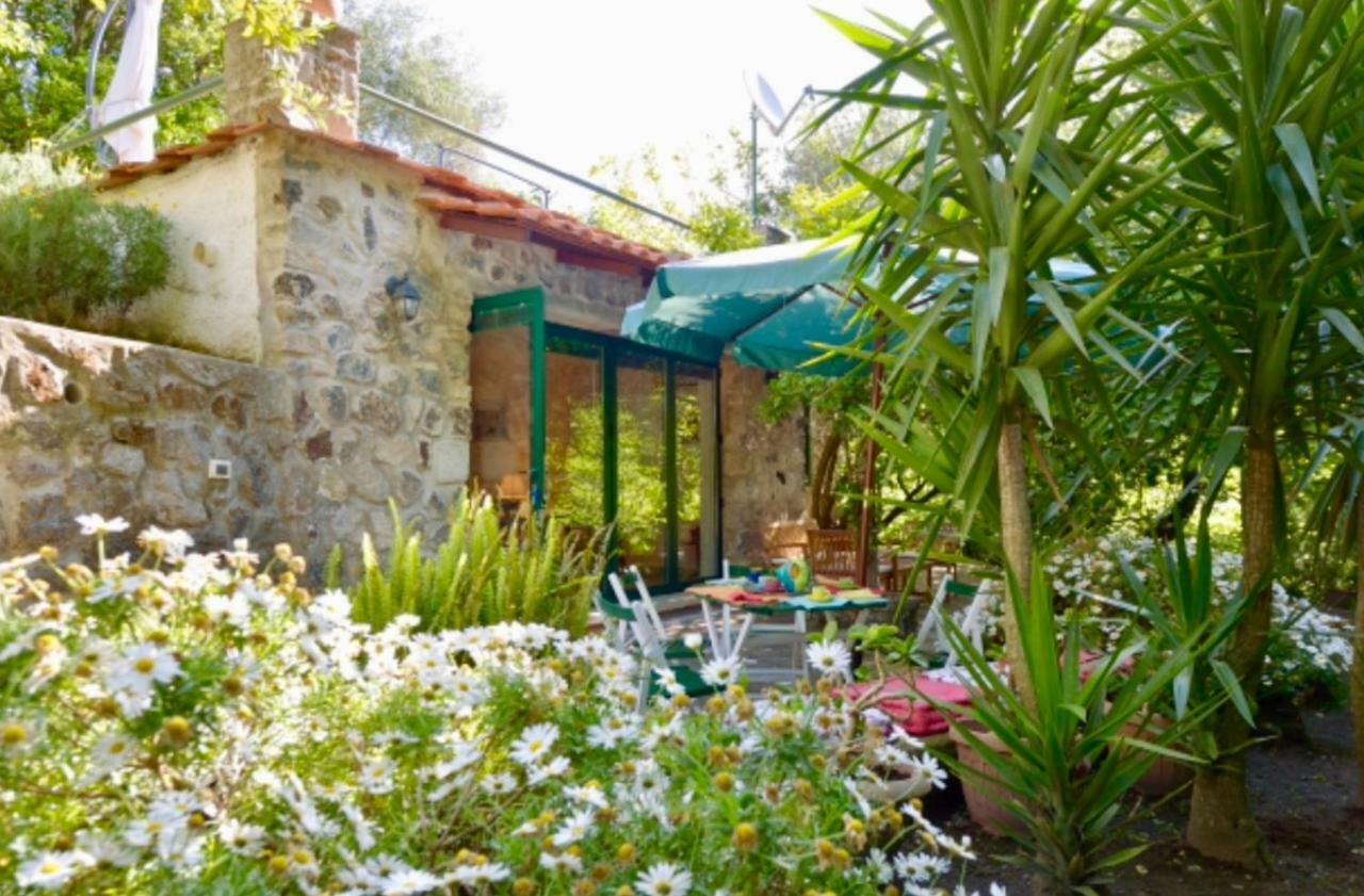 Villa Vincenzo Di Meglio Barano d'Ischia Luaran gambar