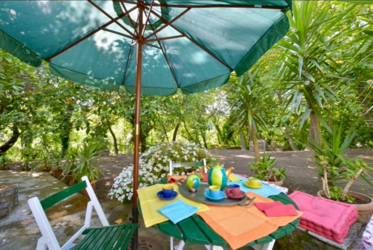 Villa Vincenzo Di Meglio Barano d'Ischia Luaran gambar