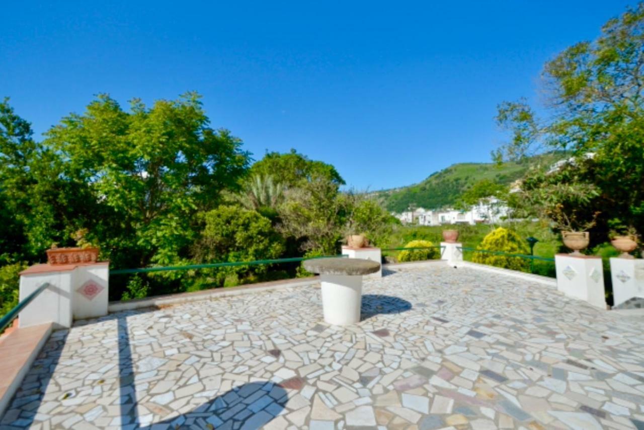 Villa Vincenzo Di Meglio Barano d'Ischia Luaran gambar